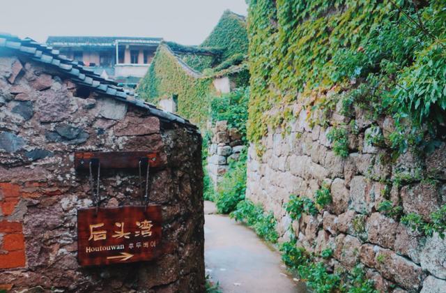 浙江这个小渔村,被人们“抛弃”20年后,如今美成了“绿野仙踪”