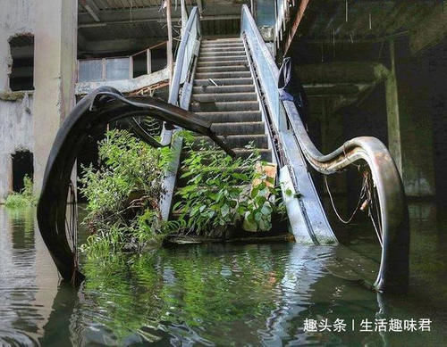 10张照片证明大自然是这个星球的主角