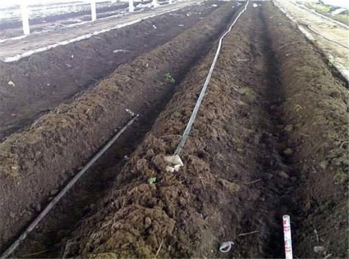  鼓吹■粪便做饲料，鼓吹亩入5万元，养了就亏，农民：用途不清楚