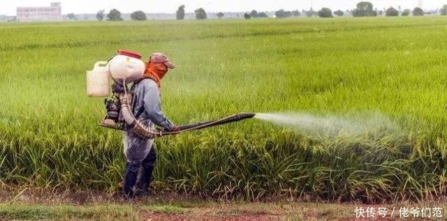 江西一些地方稻谷只卖到0.71元一斤，田地还能种吗？