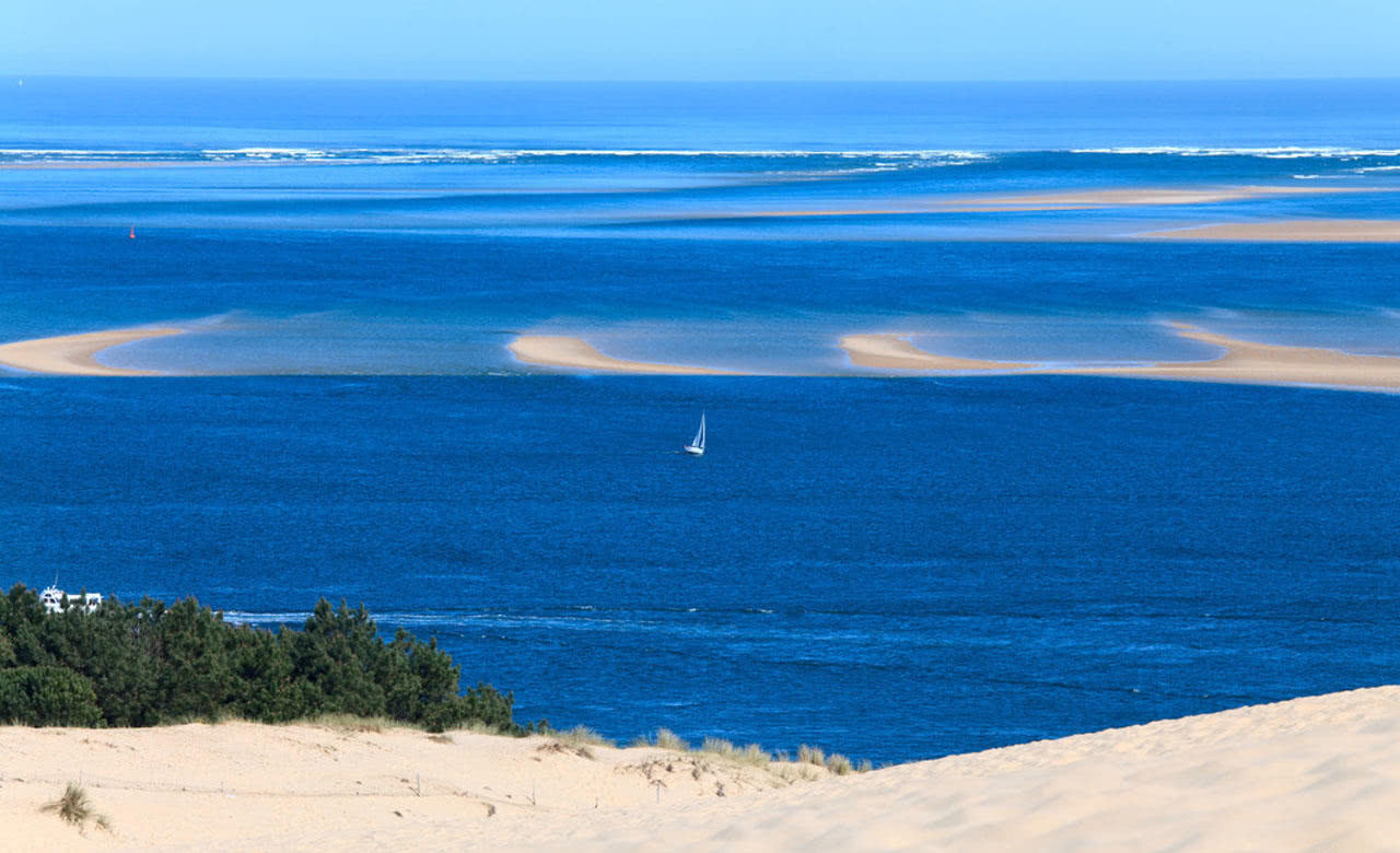 这个沙滩还会抢地盘，每年移动5米，至今已吞掉240公顷森林