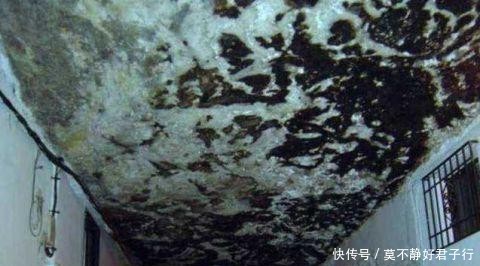 世界上最危险的村庄:被巨石压了6百多年,当地人却不想搬走