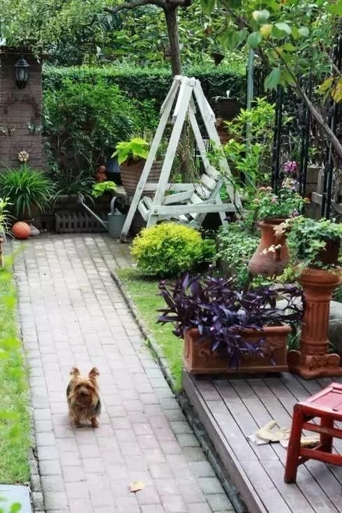 回农村 早院子，可劲造