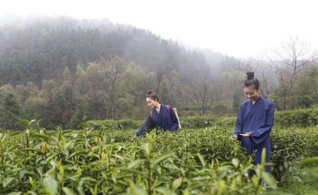 如何像李子柒一样火爆朋友圈？这一组绝美照片会给你答案！