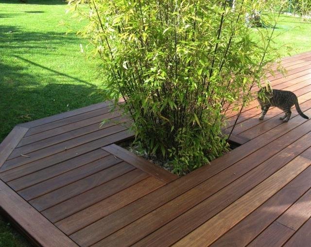 庭院竹子50张图告诉你，花园里种竹子有多高大上，气质瞬间提升