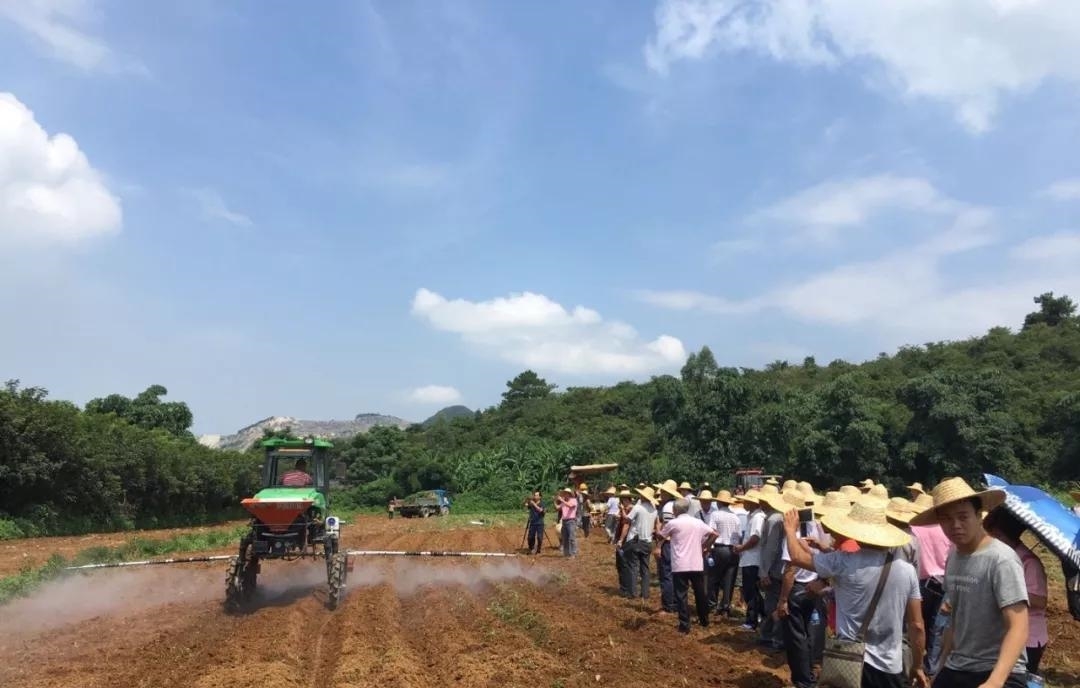 我国最像外国的城市名字, 是广东面积最大的县, 却拥有24个镇