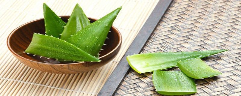  『皮肤』芦荟胶能当睡眠面膜用吗