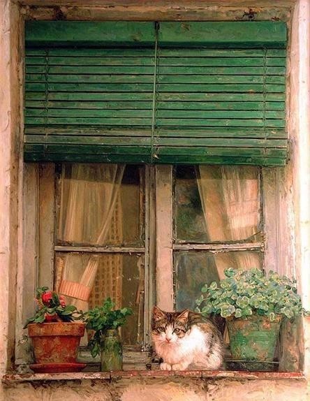 你站在窗外看风景,看风景的猫在窗外看你