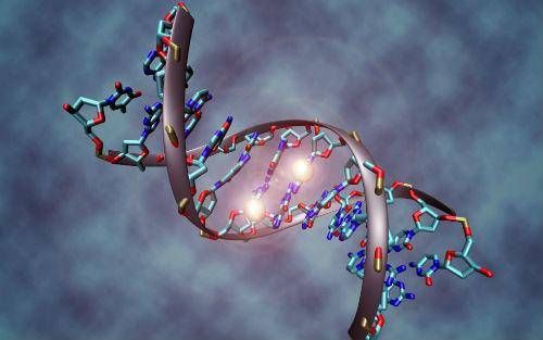  『神经系统』为什么只有七秒记忆的鱼，总能躲开钓鱼人的饵料陷阱