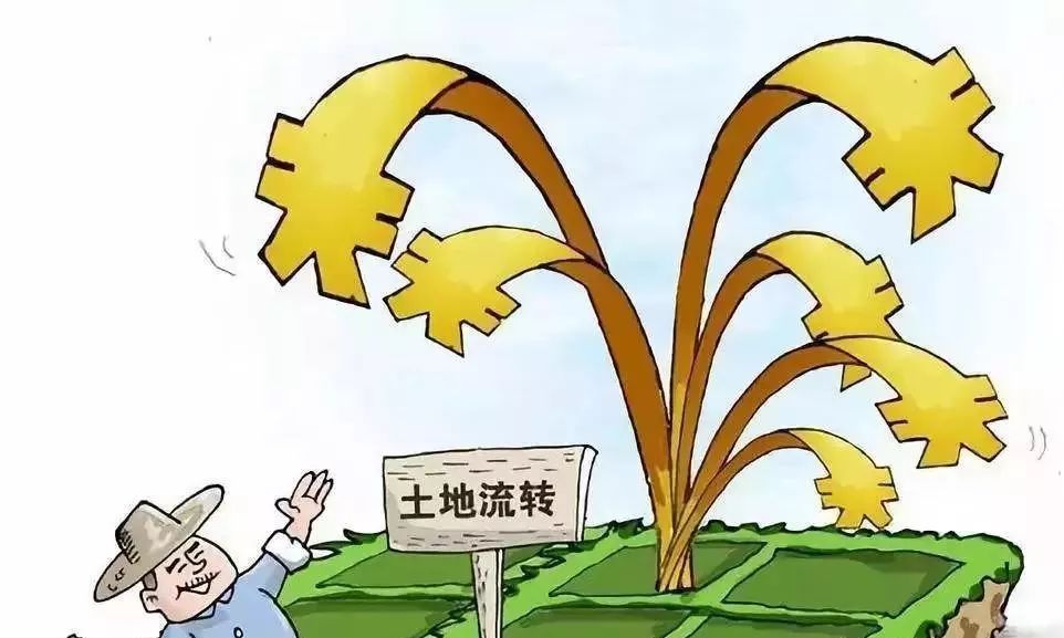  三权分置@未来10年，农村土地最终会落到谁手里？值得所有农村人