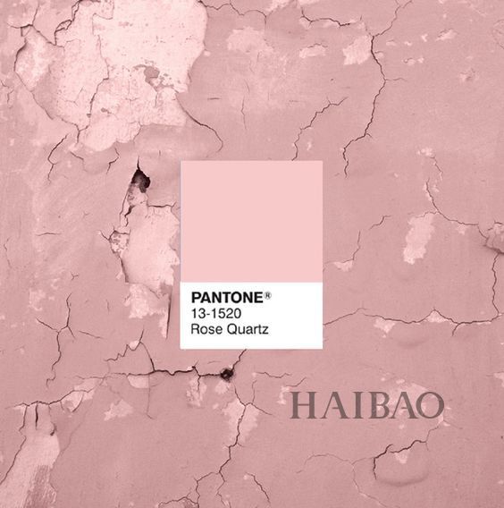 王鸥宋祖儿同框秒变乡村姐妹风？