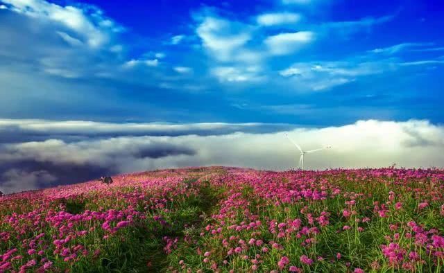 中国第一条旅游高铁正式通车!400余个4A级以上景区,一路美食美