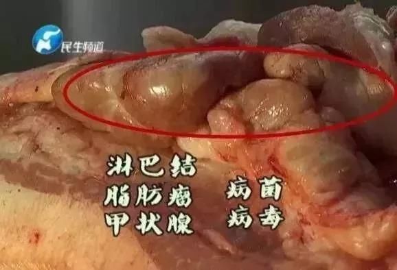 曝光了！公认的一类致癌物竟然有它，打死都猜不到！鸡鸭鱼肉虾这