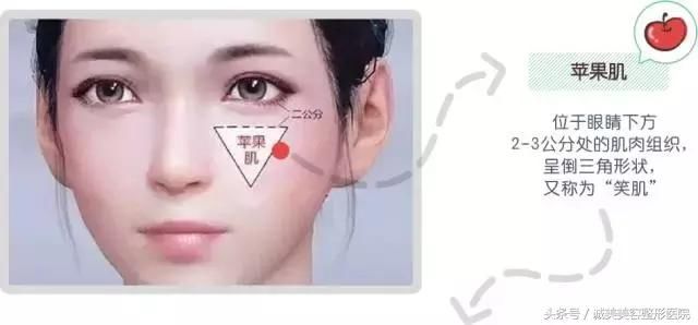 苹果肌和高颧骨之间有超大区别，你分得清楚吗？