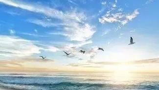  「十全十美」2019退休族新标准，你达标了吗？