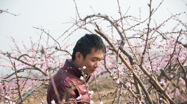 #田间#人间三月芳菲尽,田间桃花始盛开,农民桃园弄桃花,干什么呀