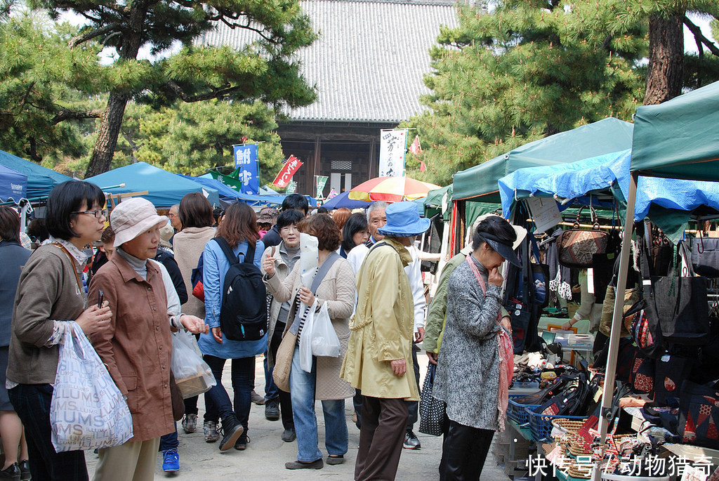 直击游客暴涨的日本,中国人最多,看看当地人对此如何评价
