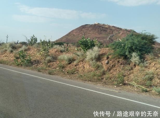 印度一桥梁用树种出来,存在500多年却越来越牢固,桥身就是树