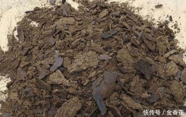 『油菜籽』农村不稀罕的“它”,渔具店里卖5元一斤,钓鱼打窝特别好用