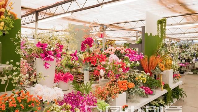 『花架』"阳台太小想养花?教你2个办法变“花园”,整洁漂亮省空间"