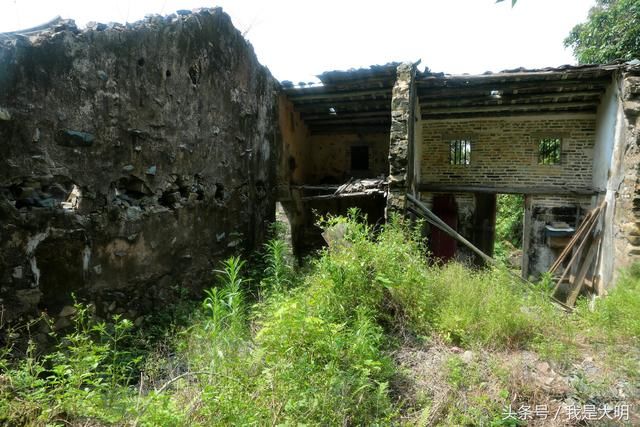误入深圳大山深处无人村，村子荒芜人烟，一个人走在村子瘆得慌