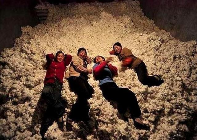 我国最特殊村子，武警24小时持枪看守村民，只因种的作物不一般？