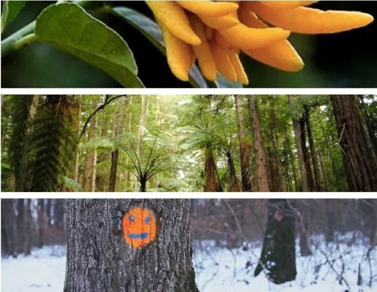 肥皂，才是真正能让你洗出男人味儿的洗澡标配