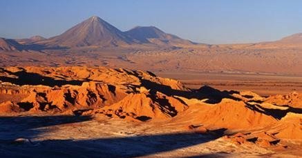 世界最干旱沙漠一场大雨让沙漠开出花海，科学家们却发愁了!