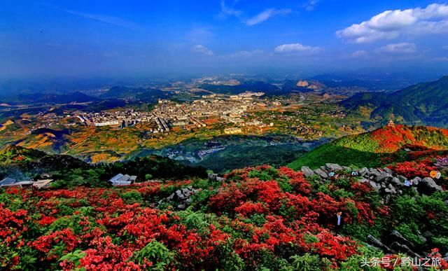 三月和四月，正是赏花季节：推荐贵州6个绝佳的杜鹃花观赏地