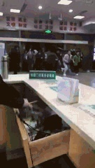 盘点7月谣言：莫让“假消息”带来“真危害”