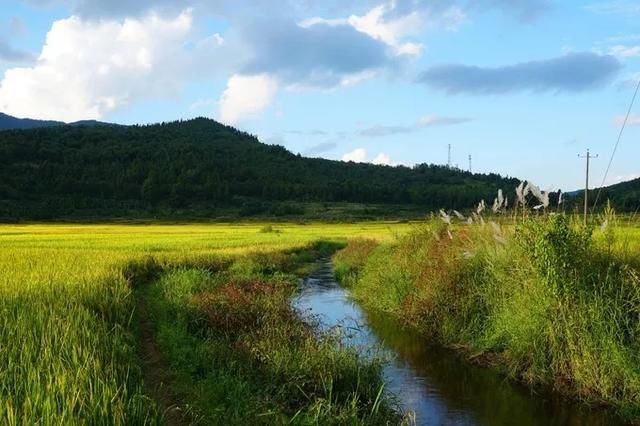  『丽江』你说！比大理丽江更值得去的地方，是云南这座极边小城