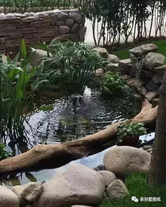 庭院设计|农村大叔手把手教你，一个人挖池塘，小院从此美美的