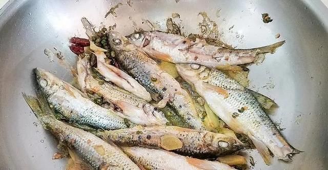  「也不多」常误认为是“翘嘴鱼”，卖价是黄辣丁的5倍，可惜农村