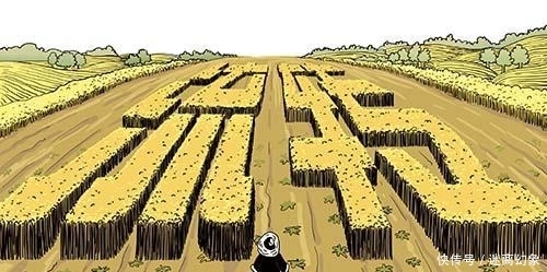 2019农村土地新政策：这2类人土地不会被收回，看看有没有你