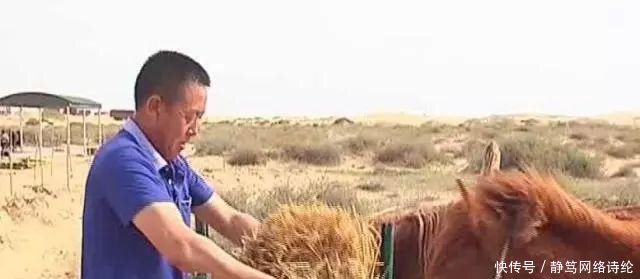 中国再创奇迹! 库布齐沙漠“进水”, 居民养野牛收入百万