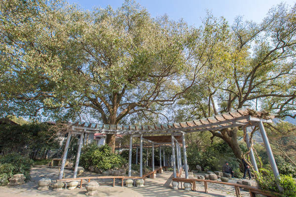 西湖最冷门的旅游路线，人少景美，一般人都不知道