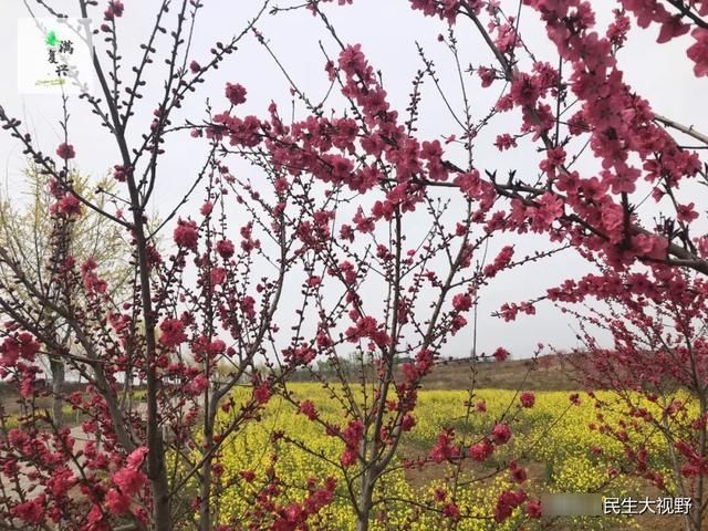  「复兴」映像旅发：春游复兴掠影