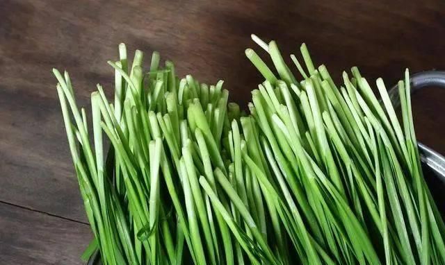  「自然环境中生长」买韭菜时，白根和紫根韭菜有啥区别？老菜农：挑错了，味道差太多