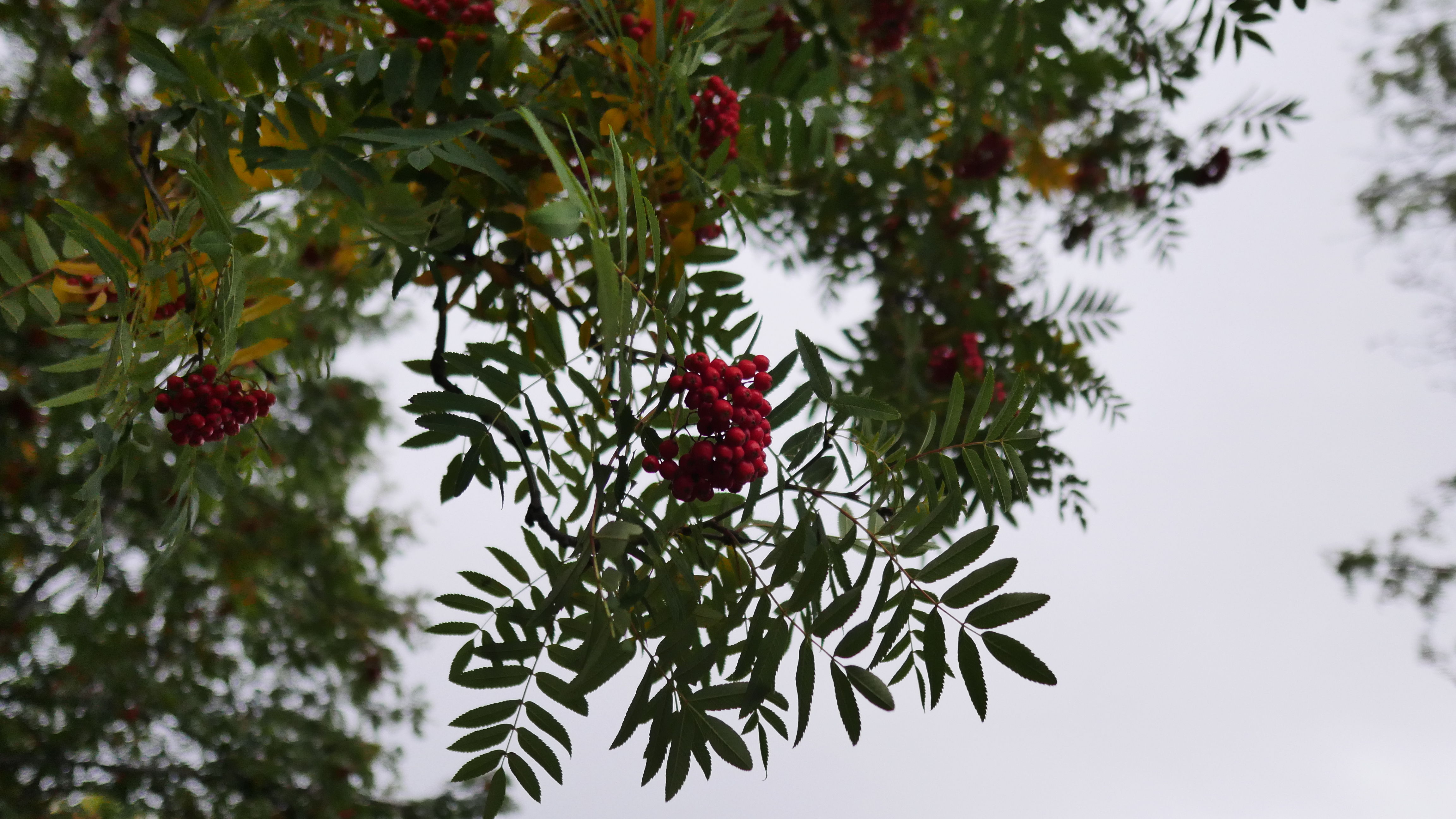 一起去世界的尽头流浪 冰岛历险记（中）