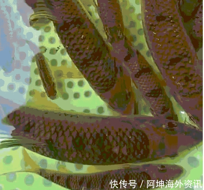 曾经20年前最下饭的鱼, 农村河沟遍地都是, 现在却很多人都吃不起