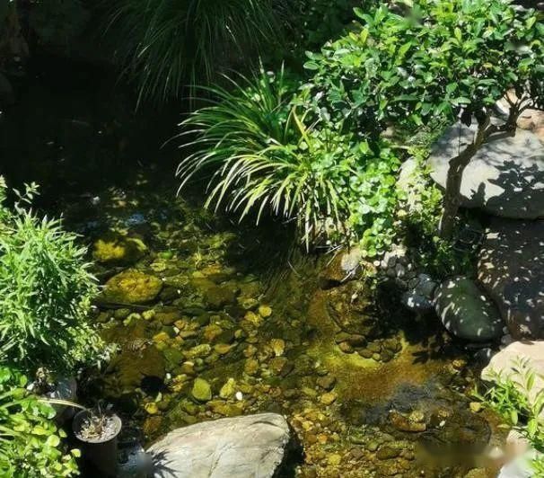  「老伴」当我老了，就想和老伴一起回乡下，庭前种花，屋后种菜