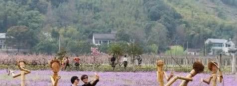  [农村]农村这4种房屋将一次性发放10万元补贴，再破的房子都有份