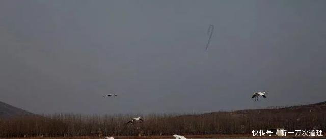 法库县獾子洞水库除了5万斤鱼被“热死”，还有您不知道的秘密！