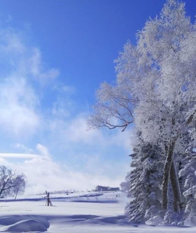 一场雪,东北就变成了雪国