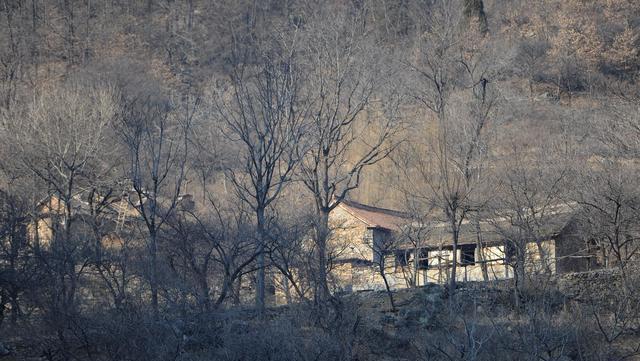 6旬老人隐居深山21年, 一辈子未结婚