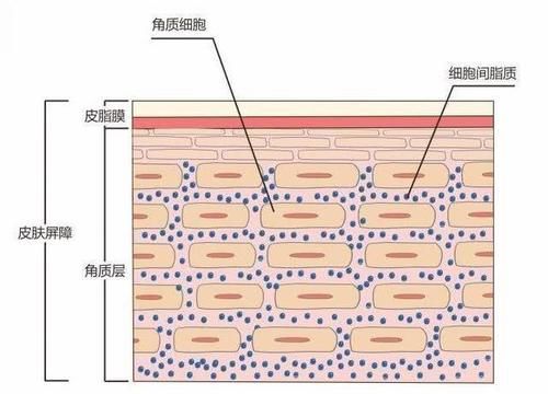  卸妆油：你化妆所以你皮肤不好