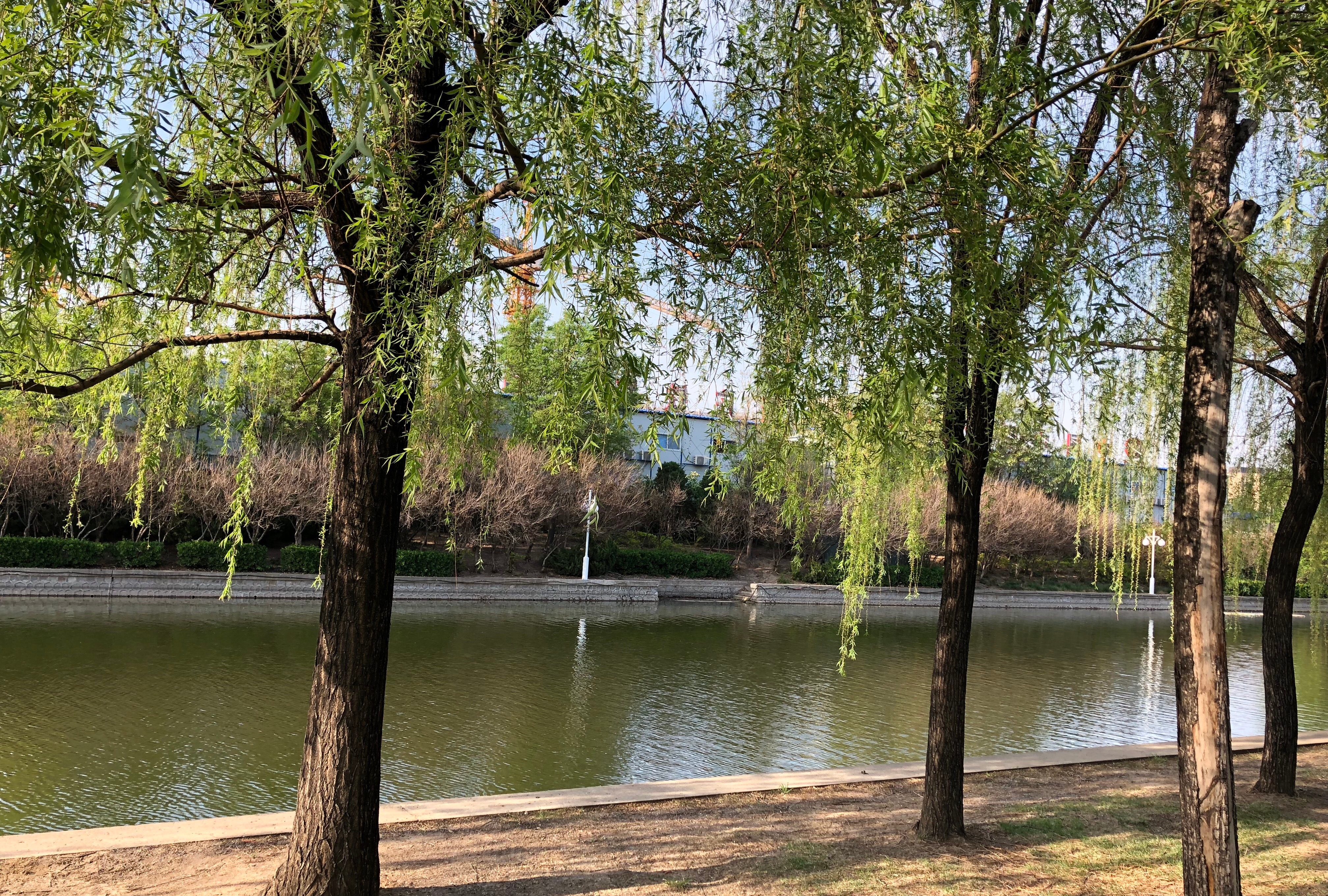 人间四月芳菲尽，一帘幽梦绿芳来