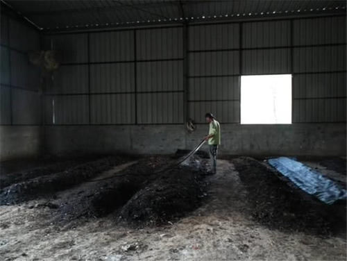  鼓吹■粪便做饲料，鼓吹亩入5万元，养了就亏，农民：用途不清楚