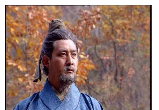  『投降』刘禅投降之后，和姜维一道投降的几位蜀国大将，他们结局如何呢？