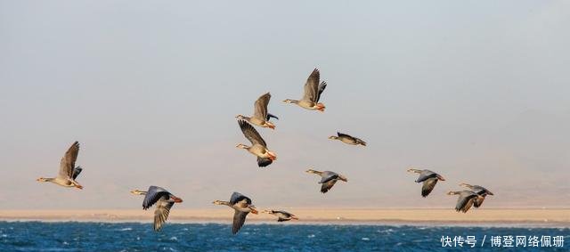 中国最大内陆湖，曾面临干涸危机，如今13年时间增加34个西湖面积